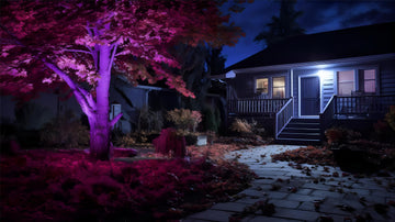 Illuminating Brilliance: A Comparative Review of iLC LED Flood Lights Outdoor vs Market Competition